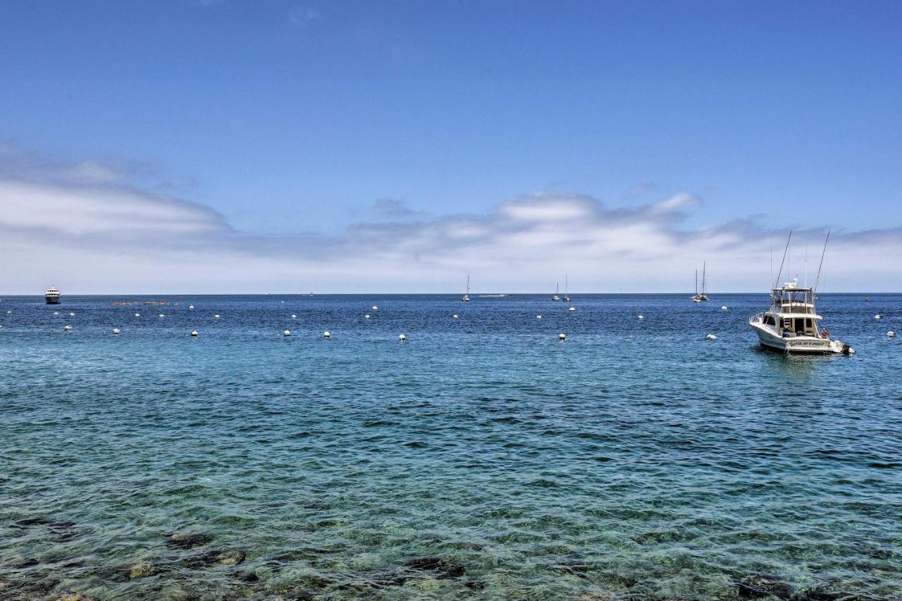 Catalina Island Cottage - Walk To Main St And Beach! Avalon Exterior foto